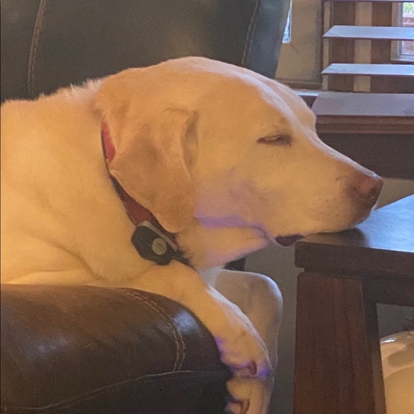 Meet your Part time Posher, full time zoo keeper - Picture 8 of 15